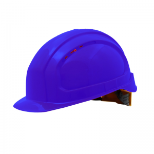  Ǚ -19  RAPID, 